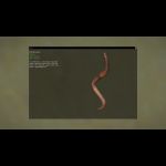 (08f) Earthworm